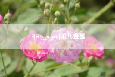 建湖第九金是