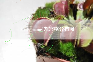 建湖九宫格分布图