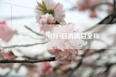 建湖11月9日消防日全称