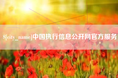 建湖中国执行信息公开网官方服务