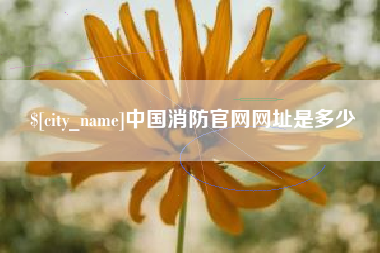 建湖中国消防官网网址是多少