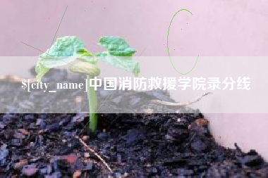 建湖中国消防救援学院录分线