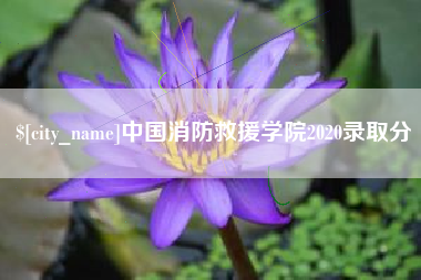 建湖中国消防救援学院2020录取分
