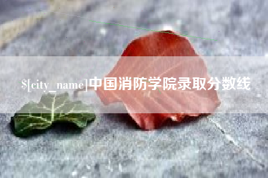 建湖中国消防学院录取分数线