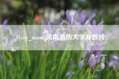 建湖河南消防大学分数线