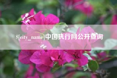 建湖中国执行网公开查询
