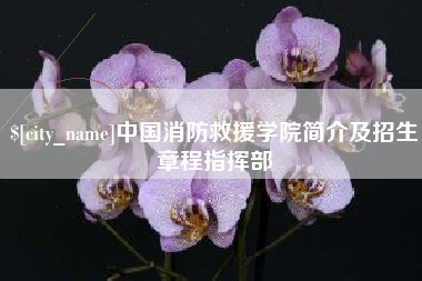 建湖中国消防救援学院简介及招生章程指挥部
