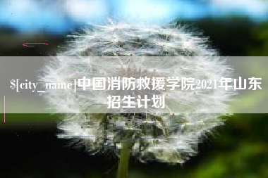 建湖中国消防救援学院2021年山东招生计划