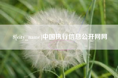 建湖中国执行信息公开网网