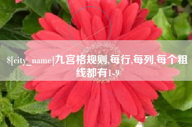建湖九宫格规则,每行,每列,每个粗线都有1-9