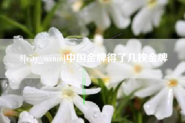 建湖中国金牌得了几枚金牌