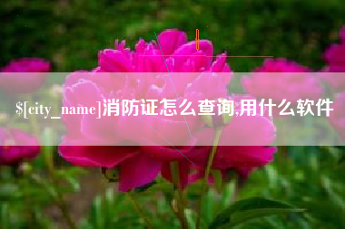 建湖消防证怎么查询,用什么软件