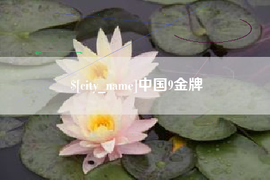 建湖中国9金牌