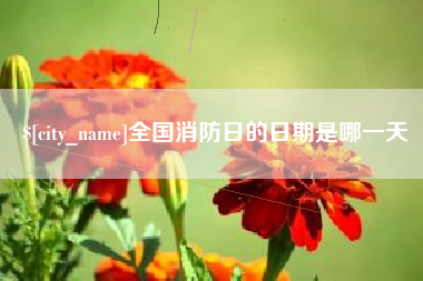 建湖全国消防日的日期是哪一天