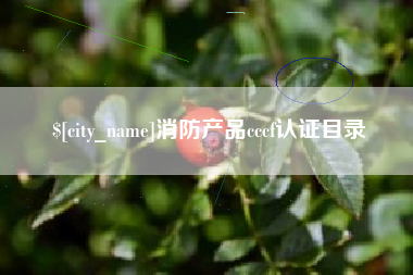 建湖消防产品cccf认证目录