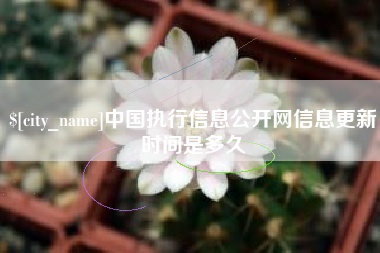 建湖中国执行信息公开网信息更新时间是多久