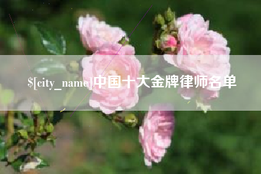 建湖中国十大金牌律师名单