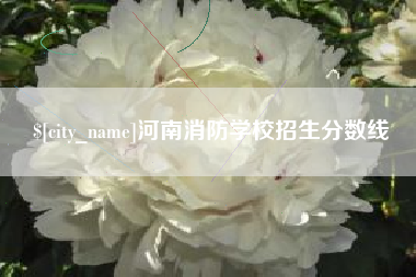 建湖河南消防学校招生分数线