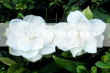 建湖现在中国金牌是多少
