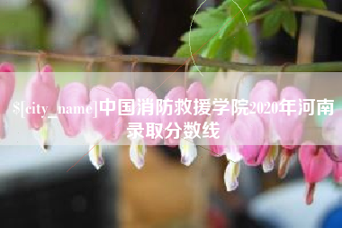 建湖中国消防救援学院2020年河南录取分数线