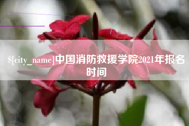 建湖中国消防救援学院2021年报名时间