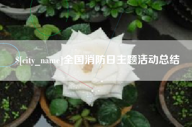 建湖全国消防日主题活动总结
