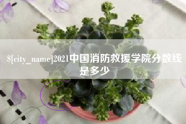建湖2021中国消防救援学院分数线是多少