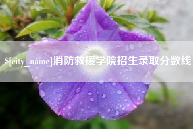建湖消防救援学院招生录取分数线