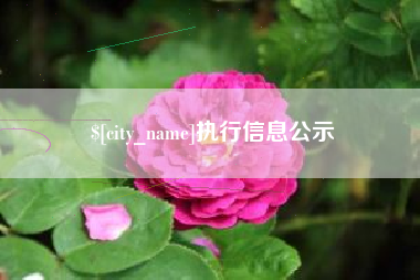 建湖执行信息公示