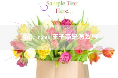建湖王子豪是怎么写