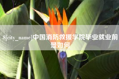 建湖中国消防救援学院毕业就业前景如何