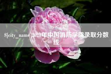 建湖2021年中国消防学院录取分数线