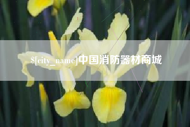 建湖中国消防器材商城