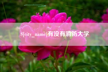 建湖有没有消防大学