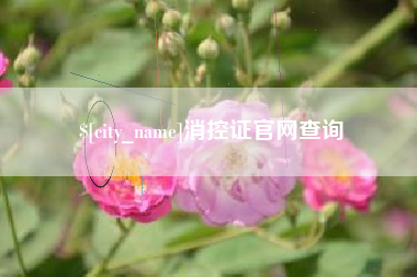 建湖消控证官网查询