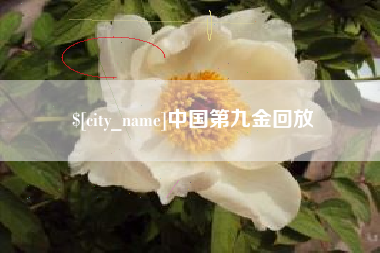 建湖中国第九金回放