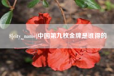 建湖中国第九枚金牌是谁得的