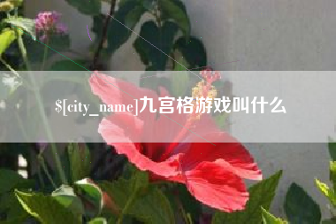 建湖九宫格游戏叫什么