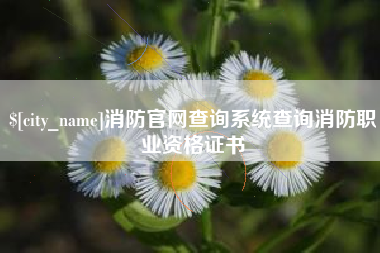 建湖消防官网查询系统查询消防职业资格证书