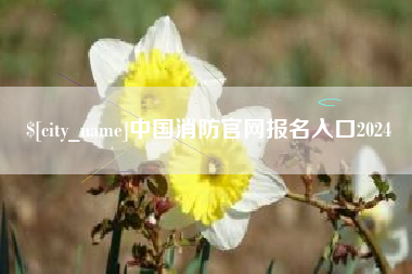 建湖中国消防官网报名入口2024