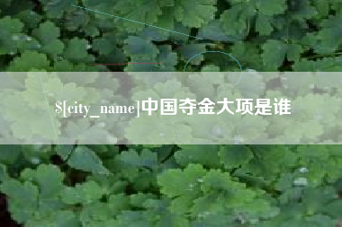 建湖中国夺金大项是谁