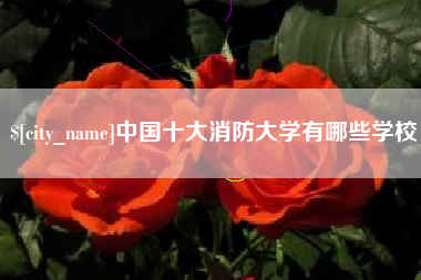 建湖中国十大消防大学有哪些学校