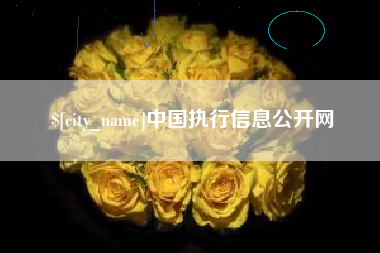 建湖中国执行信息公开网