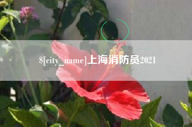 建湖上海消防员2021