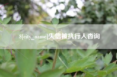 建湖失信被执行人杳询