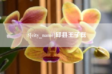 建湖邱县王子磊