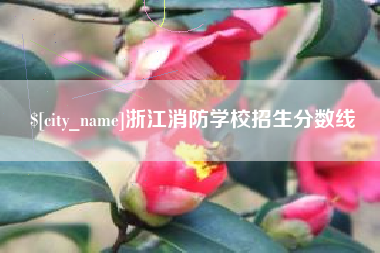 建湖浙江消防学校招生分数线