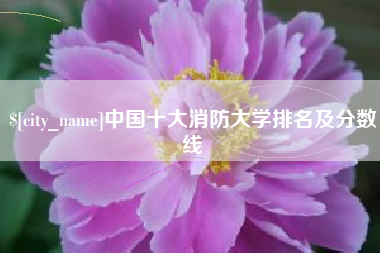 建湖中国十大消防大学排名及分数线