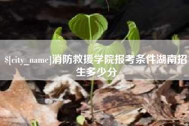 建湖消防救援学院报考条件湖南招生多少分