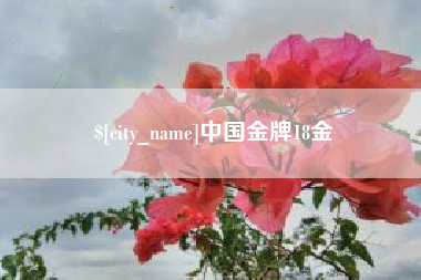 建湖中国金牌18金